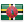 dm flag