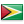 gy flag