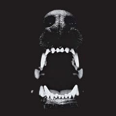 brujerizmo9