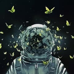 Criticalx