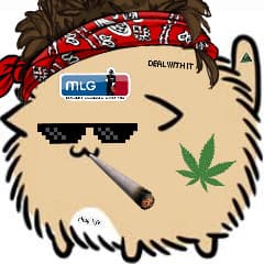 MLG_Matze