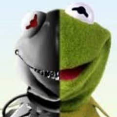 Kermit91