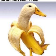 BANANA_GUSb