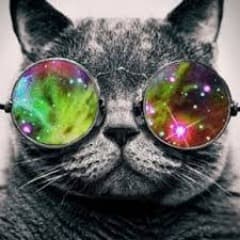 insanecore6