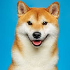 Rinnger