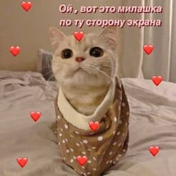SS_korsun