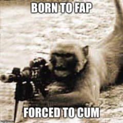 RatKingGats