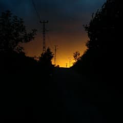 Sar_i