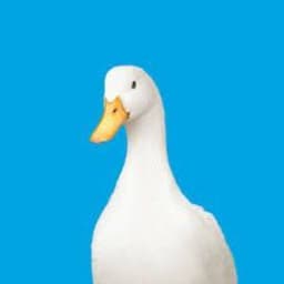 Duckw