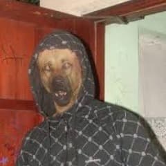 Billyblobson