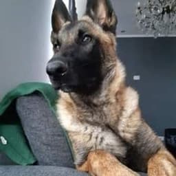 EchelonUwU