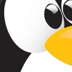 PhatPingu