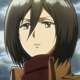 MMikasa