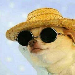 jebskin