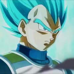 Raiz1251