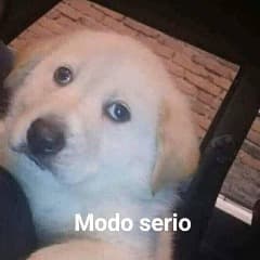 Mazamorra