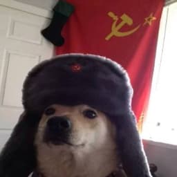 Roo--