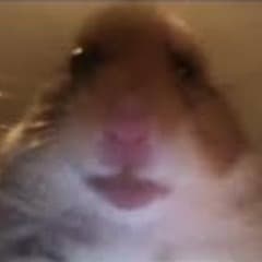 _m0rk0vkA_