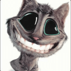AzKinx