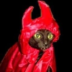 Capirotinho