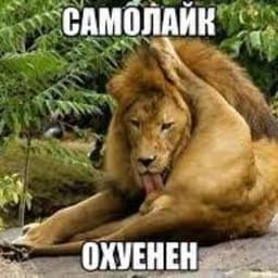 flashlox1337