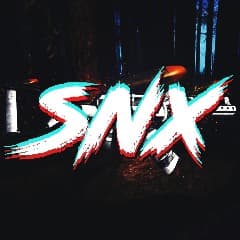 SNX12