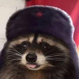 L4rzz