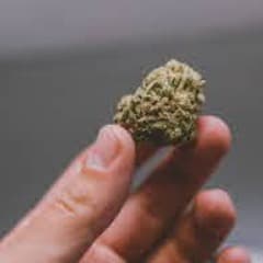 Asnisia420