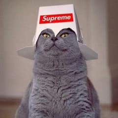_SupremeCat