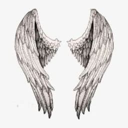 Akraus