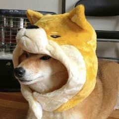 Snowyi
