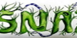 lajtowy