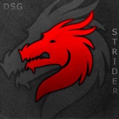 _Str1der