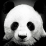Panda_Omg