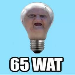 Se1337