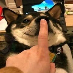 360360