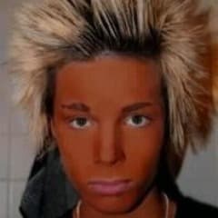 palmebjoerk