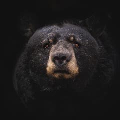 1780567157