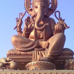 FlyElephant