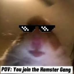 PedroF1nn