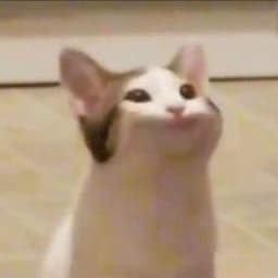 _PopCat_