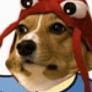 VortexFishy
