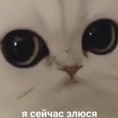 antugn