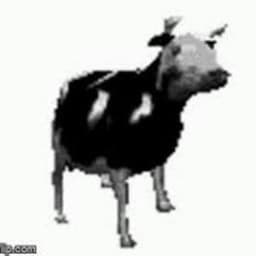 Polish-Cow