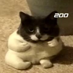fustopoke