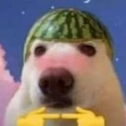 NAXORb0y
