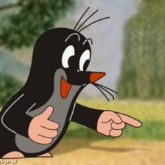 s00z