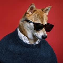 Ekerboi