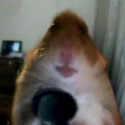 Tardoo
