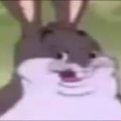 _Anderzen